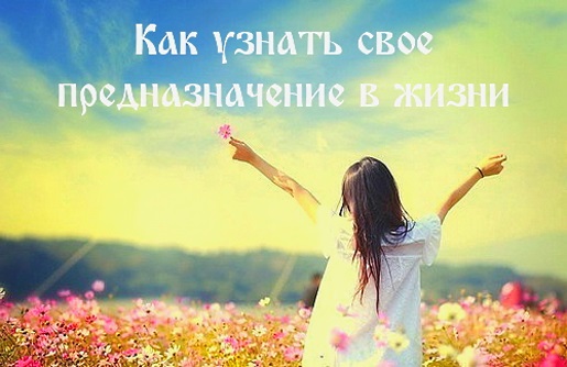 Как найти истинное предназначение в жизни Как найти истинное предназначение в жизни