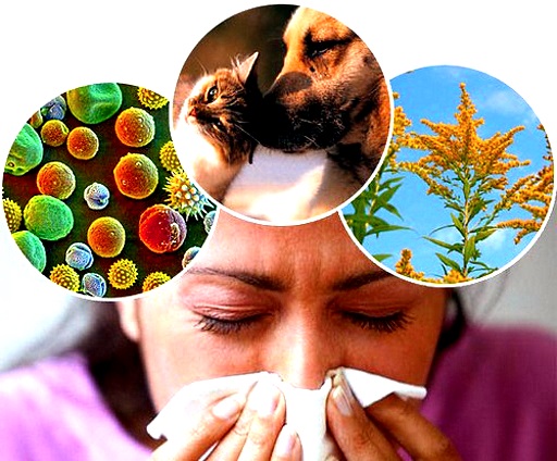 Как определить аллергию
