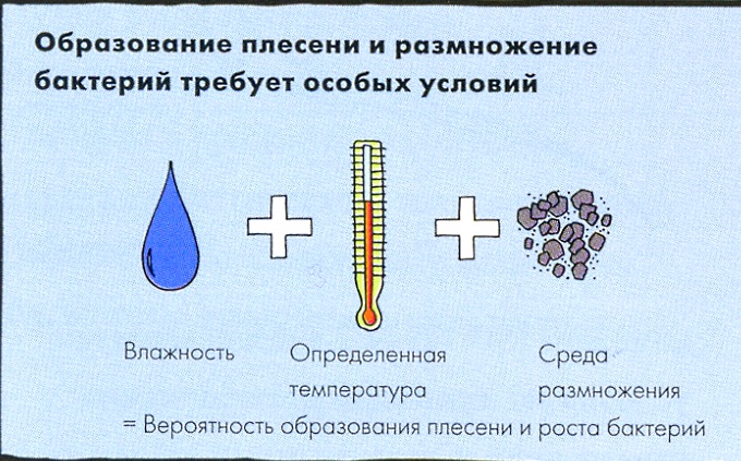 Причины появления плесени в доме